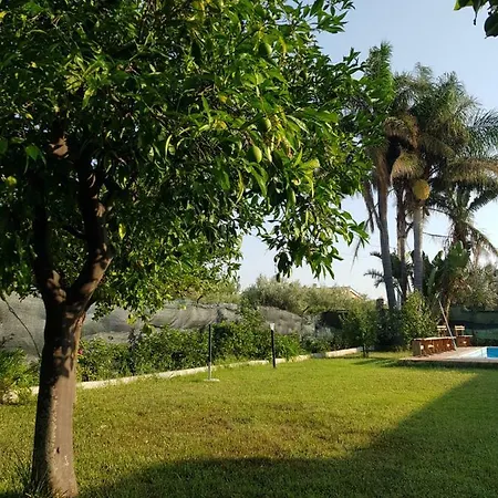 Casa Le Tre Palme Alloggio in famiglia *