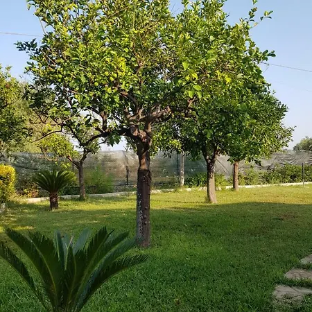 Casa Le Tre Palme Floridia